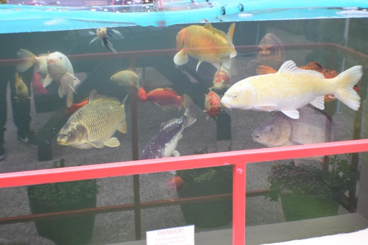Seashells Beach Hotel Sutton-on-Sea エクステリア 写真